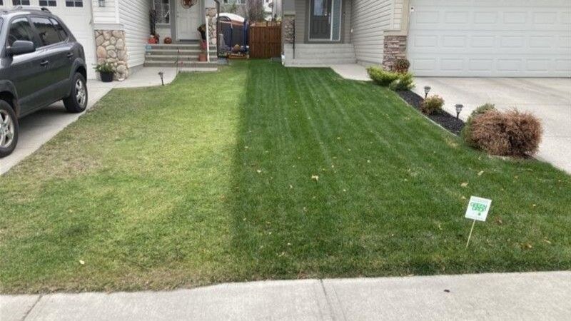 Visible contrast between two lawns—one treated and green, the other patchy and dull—highlighting lawn care impact.