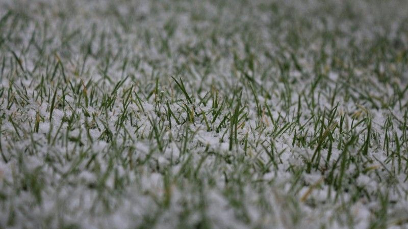 Lawn covered with snow during winter before spring recovery begins