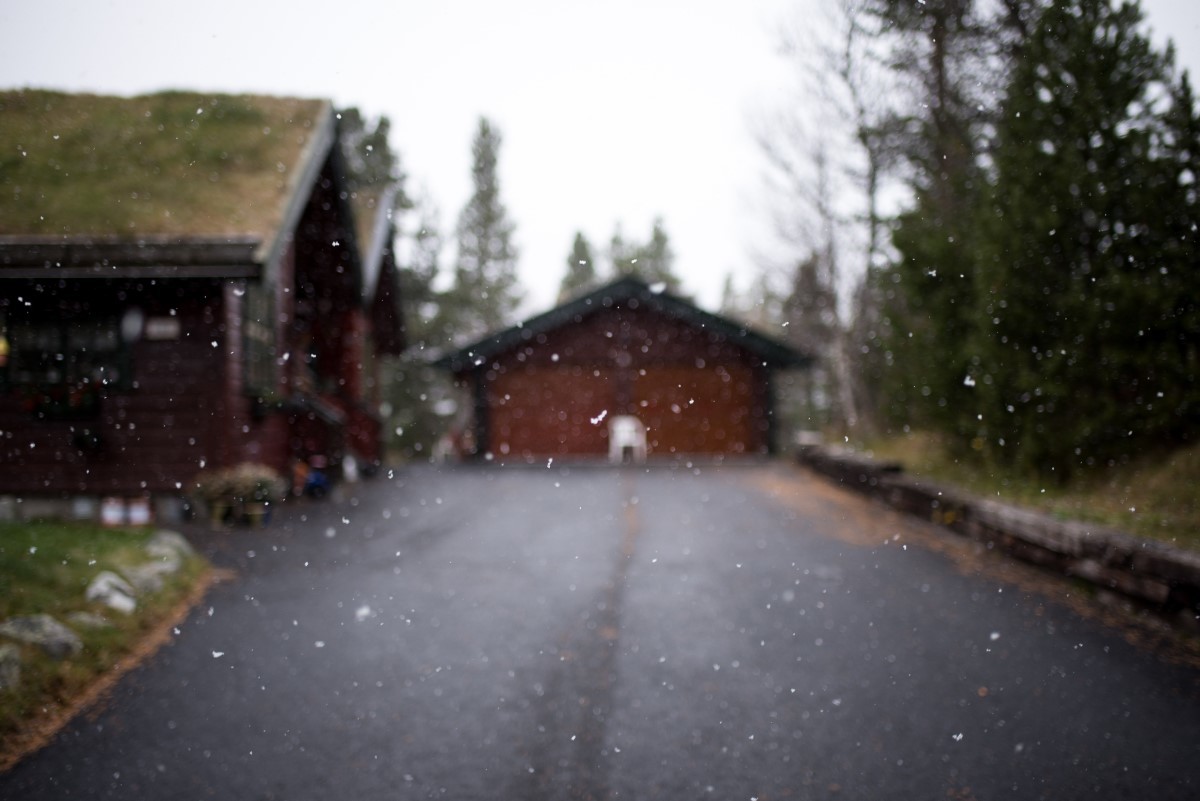 Snow falling on a driveway