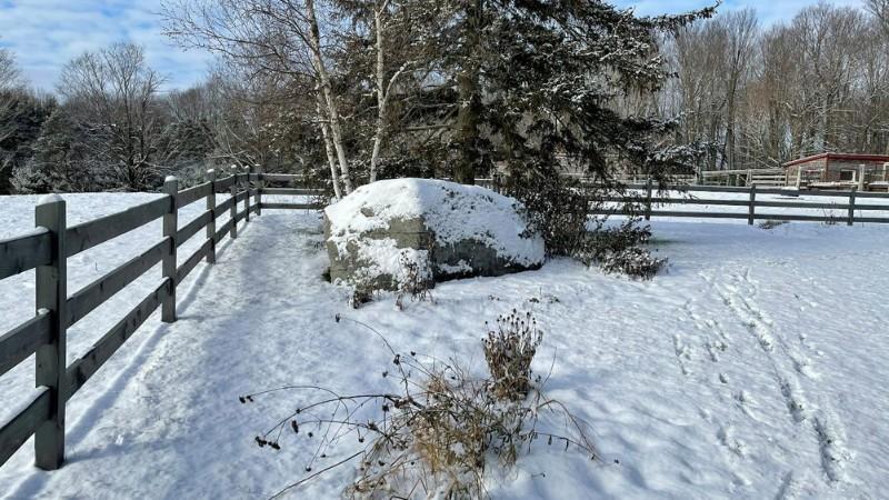 Snow-covered lawn bordered by a wooden fence and trees, with visible foot tracks and a rock blanketed in snow.