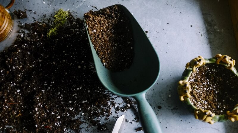 Soil in a big spoon