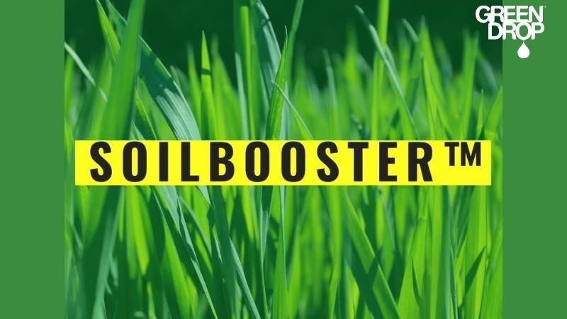 Close-up of tall green grass with a bold SoilBooster™ label, a Green Drop lawn care solution.
