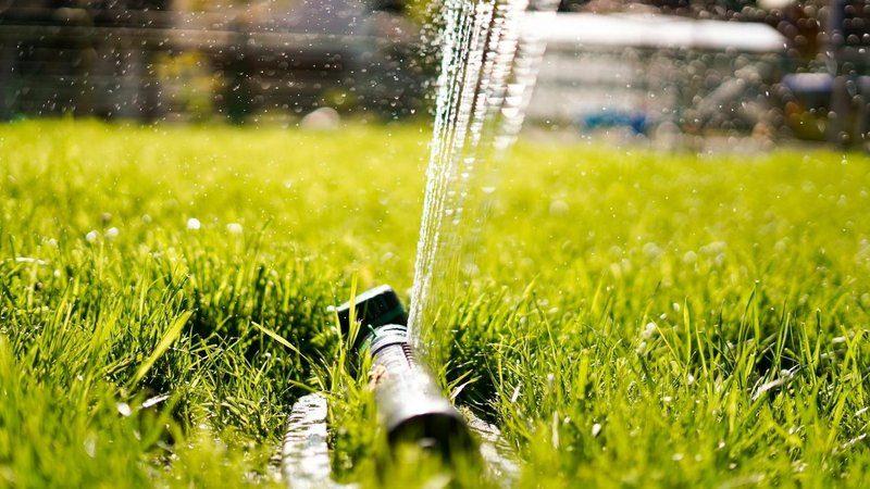 Sprinkler watering a Calgary lawn during hot, dry summer weather
