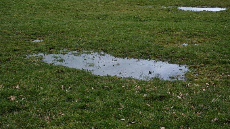 Standing rainwater pooled across a saturated grassy lawn after a storm