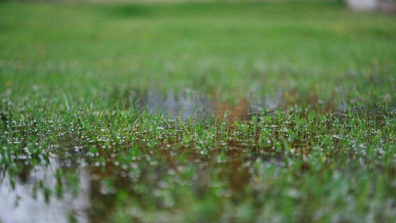 Standing water pooling across a grassy lawn after rain