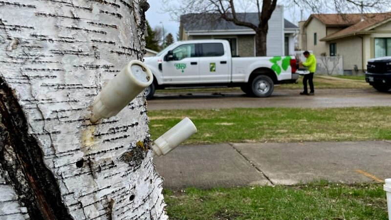 Tree Injection Green Drop