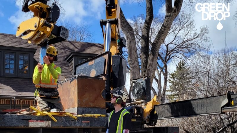 Green Drop workers using machinery to remove trees