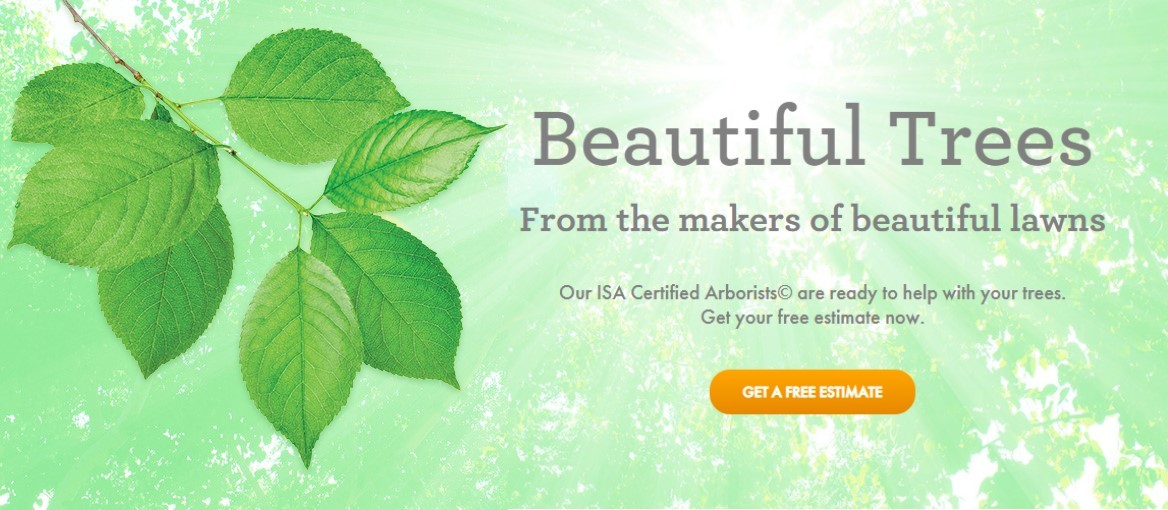Beautiful Trees by Green Drop Banner