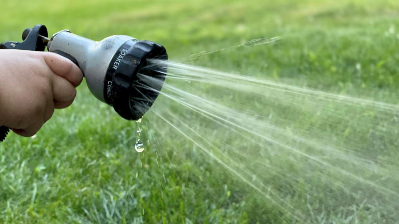 Watering a lawn in Calgary where dry conditions can limit moisture reaching the roots