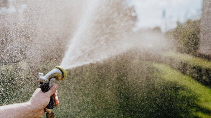 Frequent watering isn’t good for Winnipeg lawns
