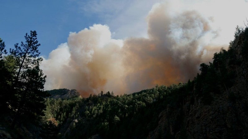 Dense smoke rises above a pine forest during a wildfire in Western Canada.