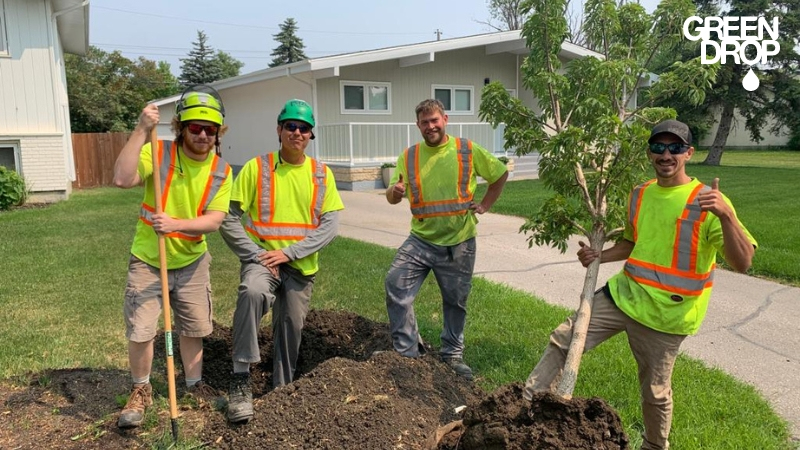 Green Drop workers planting a new tree