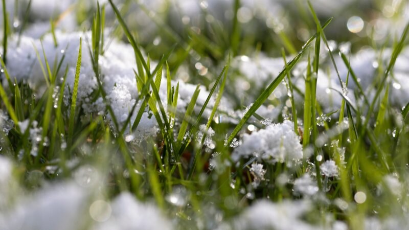 Mow lawn in winter deals