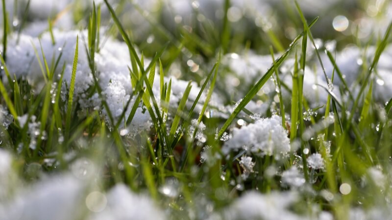 Winter Lawn Mowing